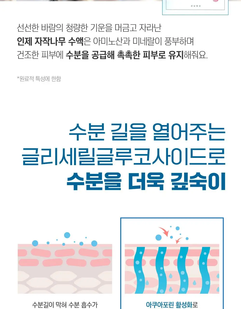 [박재훈PICK/수분진정] 라운드랩 포 맨 자작나무 수분 로션 200ml 상세페이지 7